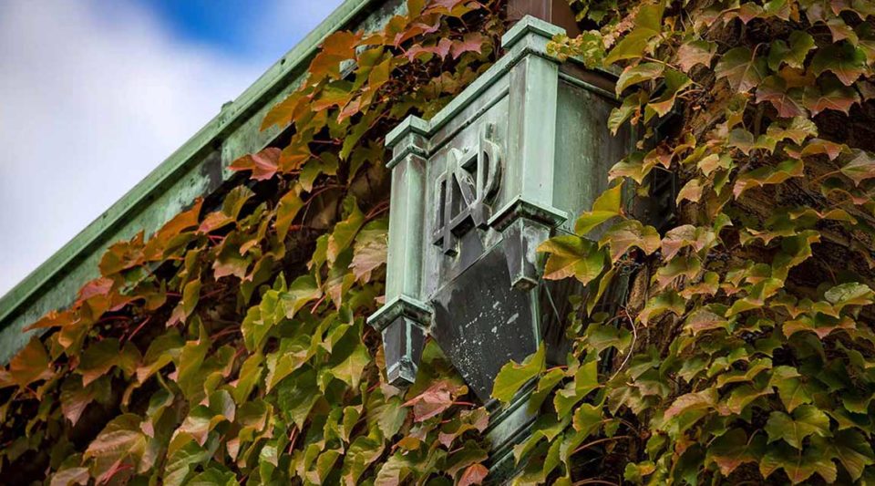 Downspout on the side of Cushing Hall of Engineering