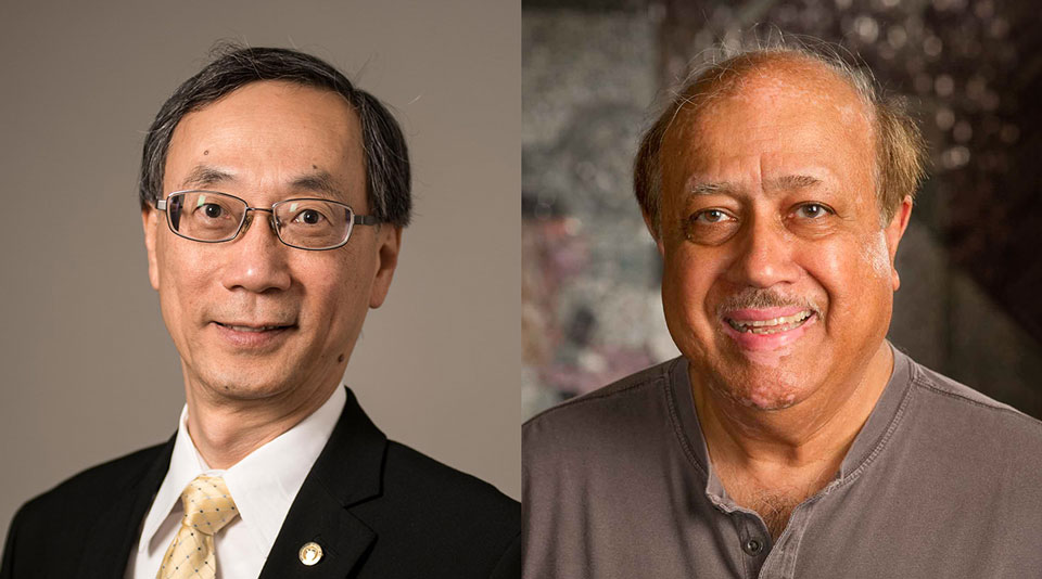 Two Notre Dame Engineering profs elected as AAAS lifetime fellows