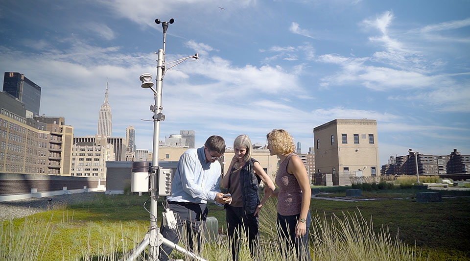 Patricia J. Culligan and two students stand on a green roof in New York City, examining data from a monitoring device. The roof has grass and plants, with the Empire State Building and other buildings visible in the background under a clear blue sky.