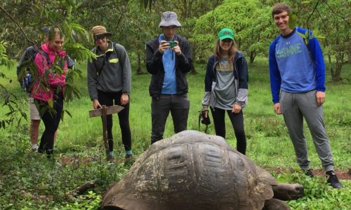 Students observing a tortoise during the Galapagos Islands field trip