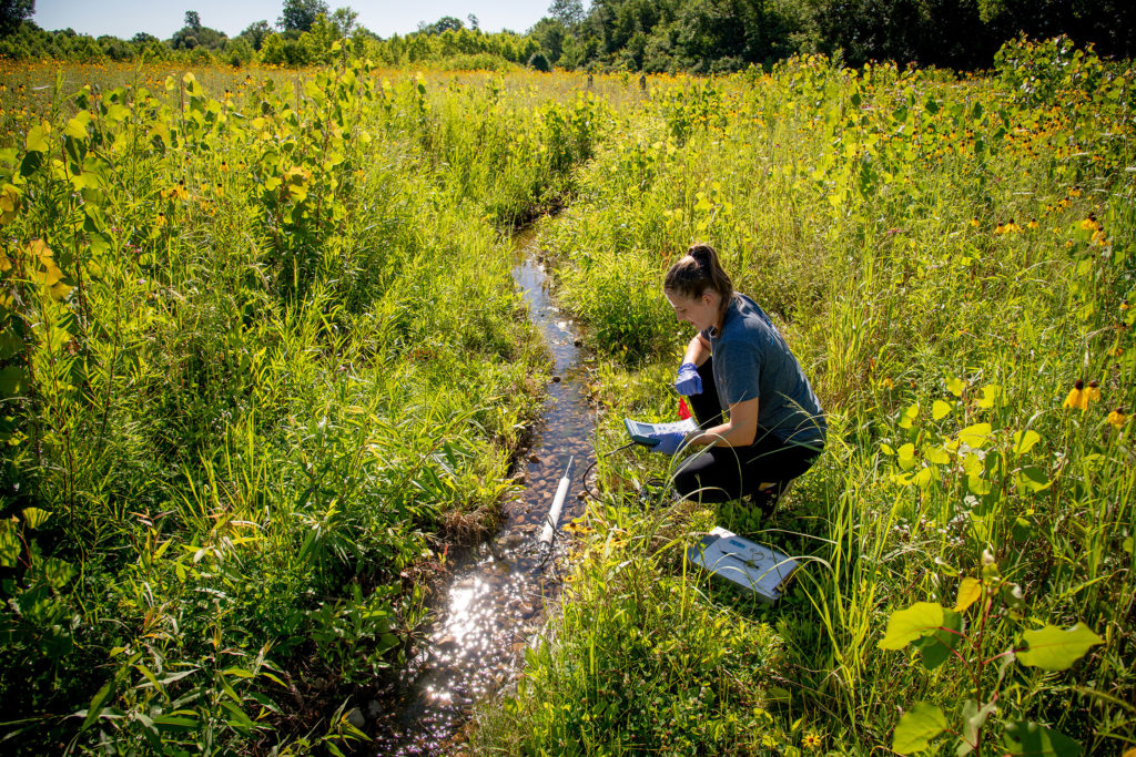 ND student tests water at the Notre Dame Linked Experimental Ecosystem Facility, or ND-LEEF.