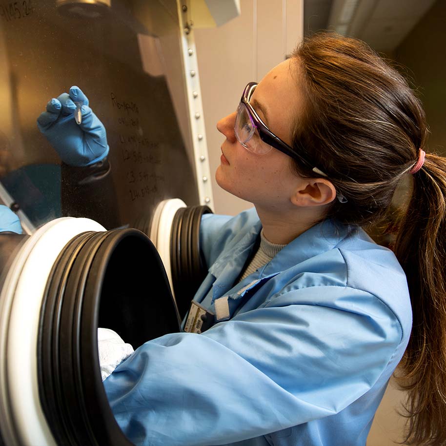 Graduate student Sarah Hickam taking a closer look at samples in the ACE laboratory. 